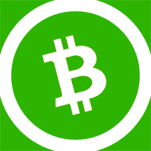 Bitcoin Cash icon