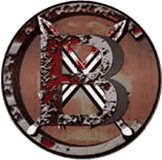 BitcoinX