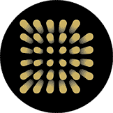 Darico Ecosystem Coin