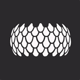 SIRIN LABS Token